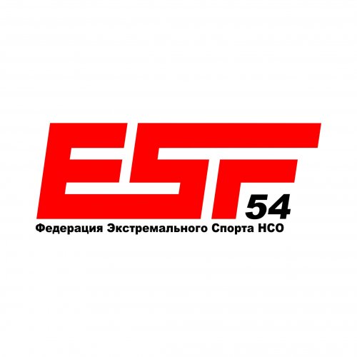 Логотип организации ESF54